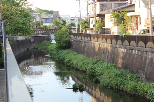 Río Sengawa (2)